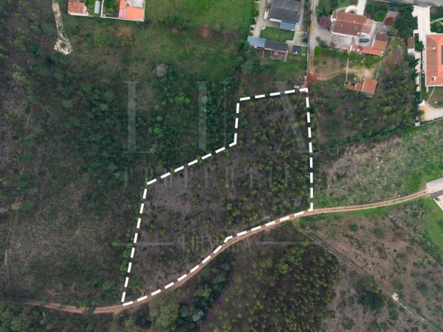 Terreno venda em Mealhada, Aveiro