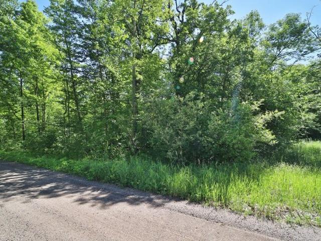 Land for sale in Garrison, Minnesota