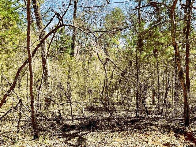 Land for sale in Flint