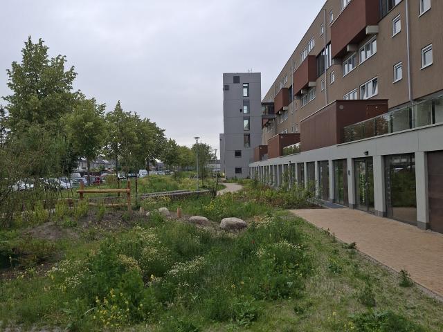 Woning te huur in Dauwendaele, Zeeland