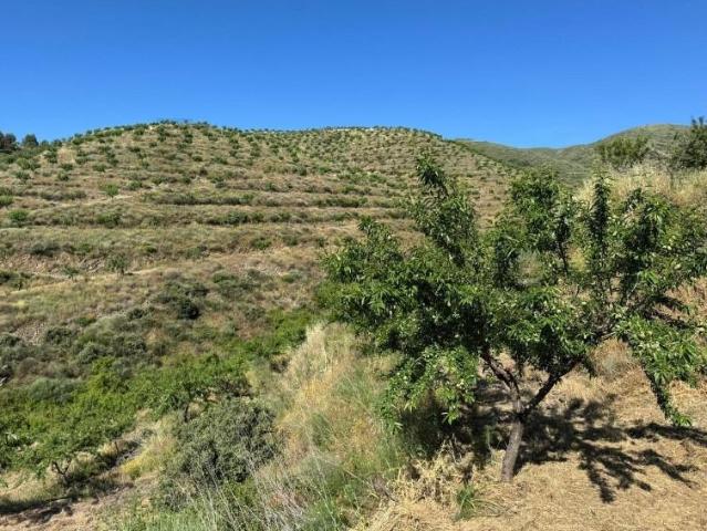 Terreno venda em Guarda, Meda