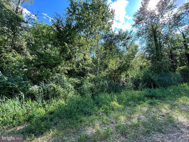 Land for sale in Still Pond, Maryland