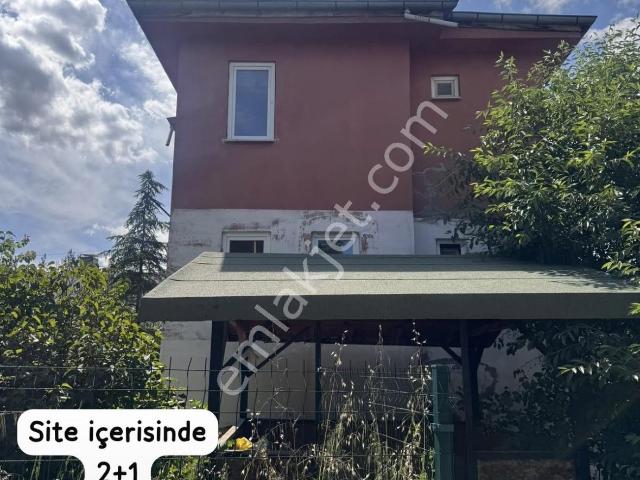 Tokat Merkez, Tokat içerisinde kiralık mülk