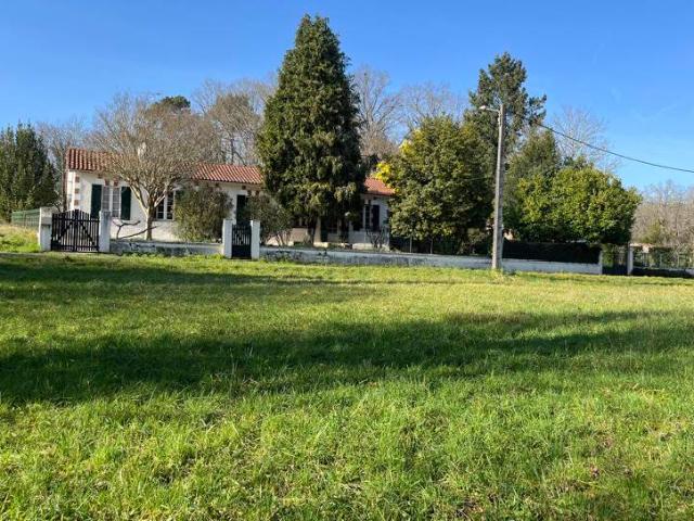 Maison vente à France métropolitaine, Médillac