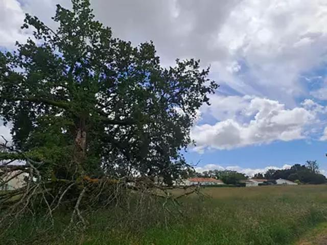 Terrain vente à Saintes, Médis