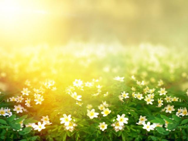 Terrain vente à Saintes, Médis