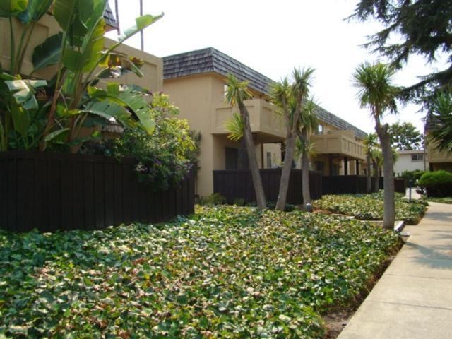 Apartment for rent in San Jose, California