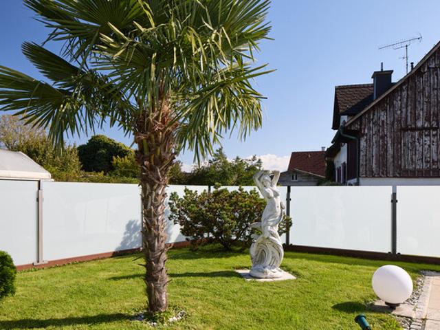 Immobilie kaufen in Höchst, Vorarlberg