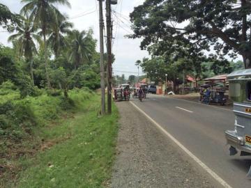 8,236sqm Commercial Land Along Main Road In Rosario Batangas 8,236sqm Commercial Land Along Main Road In Rosario Batangas