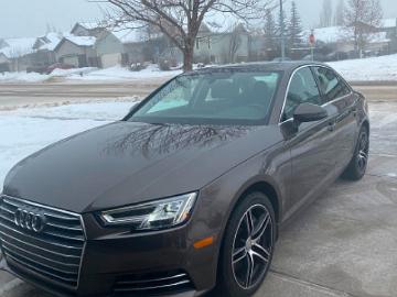 Audi a4 2017 gasoline 2017 audi a4 technik quattro 4dr sdn argus brown Audi a4 2017 gasoline 2017 audi a4 technik quattro 4dr sdn argus brown