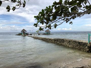 Beach Lot For Sale In Calape, Bohol Beach Lot For Sale In Calape, Bohol