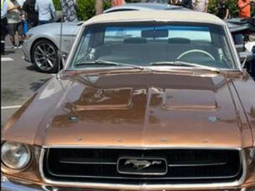 Ford mustang 1967 gasolina ford mustang 1967 Ford mustang 1967 gasolina ford mustang 1967
