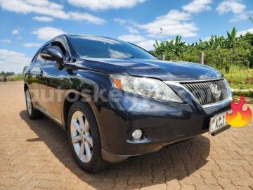 Lexus rx 2010 petrol lexus rx 300 Lexus rx 2010 petrol lexus rx 300