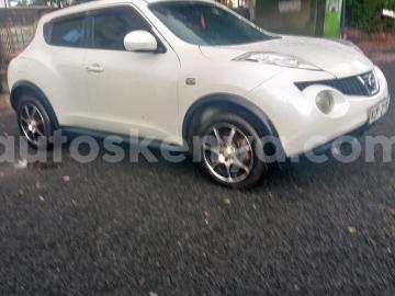 Nissan juke 2011 petrol nissan juke Nissan juke 2011 petrol nissan juke