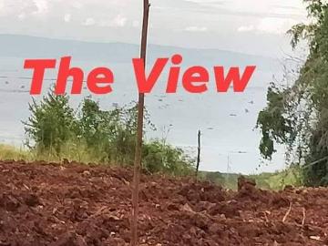 Overlooking Laguna Lake Lot For Sale In Pilillia Rizal Overlooking Laguna Lake Lot For Sale In Pilillia Rizal