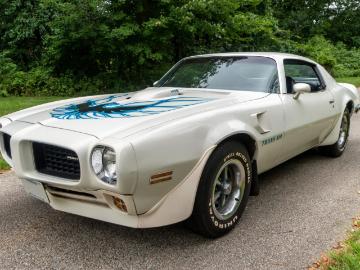Pontiac firebird 1973 gasoline pontiac firebird 1970 1981