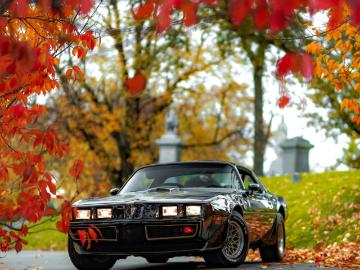 Pontiac firebird 1981 gasoline 1981 pontiac firebird trans am special edition 4 speed Pontiac firebird 1981 gasoline 1981 pontiac firebird trans am special edition 4 speed