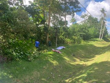 Raw Land In Ubay, Bohol Raw Land In Ubay, Bohol