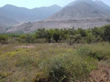 Se Vende Terreno En Correviento Bajo Antes De Calango, De 2199.31 M2. Papeles En Regla Se Vende Terreno En Correviento Bajo Antes De Calango, De 2199.31 M2. Papeles En Regla