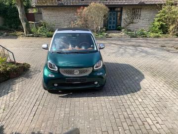 Smart fortwo 2017 essence 2017 smart fortwo cabrio twinamic raritat britisch racing green Smart fortwo 2017 essence 2017 smart fortwo cabrio twinamic raritat britisch racing green