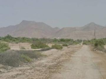 Terreno Agrícola 12 Ha En Alquiler Cayalti Zaña Chiclayo Terreno Agrícola 12 Ha En Alquiler Cayalti Zaña Chiclayo