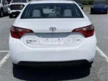 Toyota corolla 2019 petrol toyota corolla Toyota corolla 2019 petrol toyota corolla