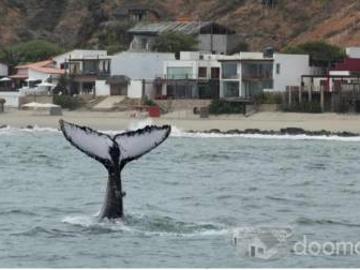 Vendo Terreno En Primera Fila Frente Al Mar En El Balneario De Punta Sal Vendo Terreno En Primera Fila Frente Al Mar En El Balneario De Punta Sal