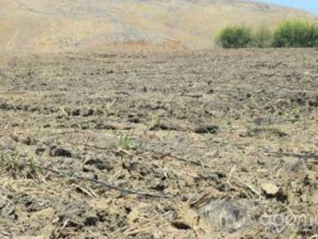 Venta De Terrenos Agrícolas Venta De Terrenos Agrícolas