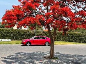 Volkswagen jetta 2016 como nuevo automatico tiptronic Volkswagen jetta 2016 como nuevo automatico tiptronic