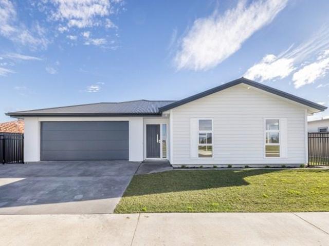 Apartment for rent in Napier