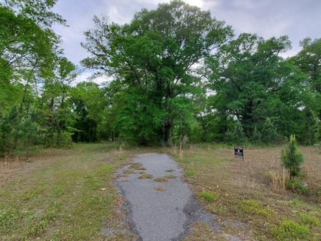 Land for sale in Rentz, Georgia