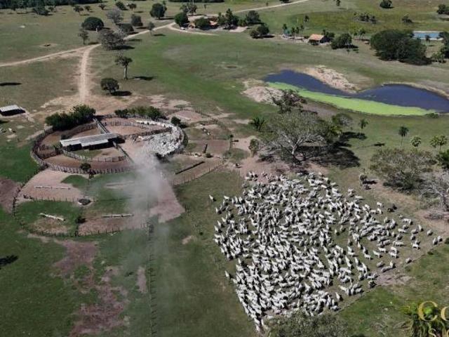 Sítio e chácara venda em Despraiado, Cuiabá