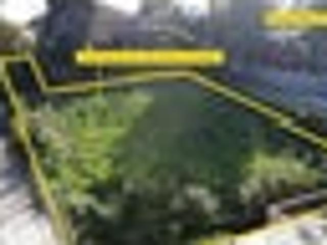 Land for sale in Avondale