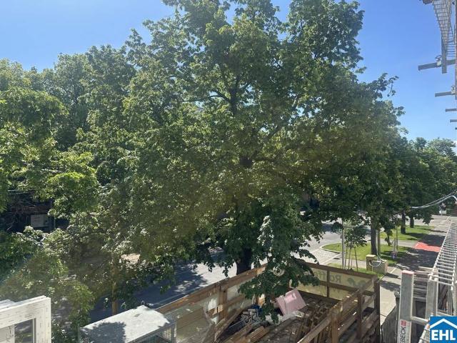 Wohnung kaufen in Döbling, Wien