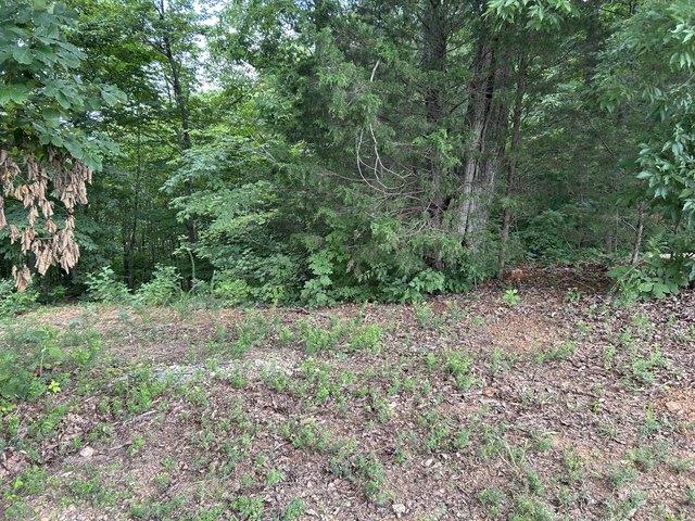 Land for sale in Bean Station, East Tennessee