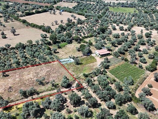 Ödemiş, İzmir içerisinde satılık Arsa