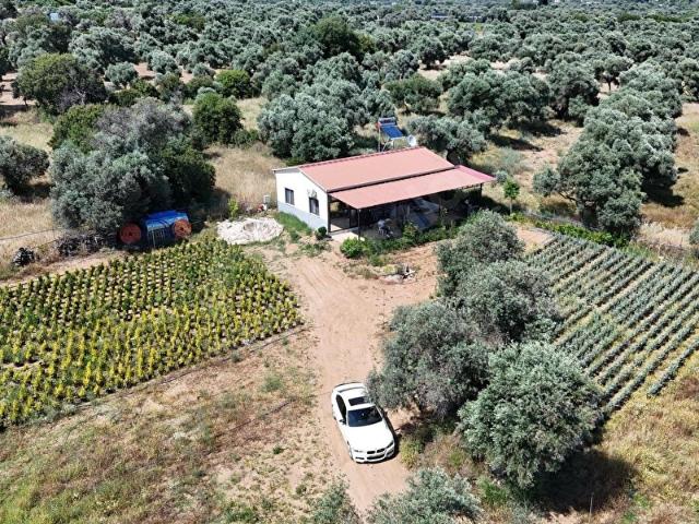 Ödemiş, İzmir içerisinde satılık Arsa