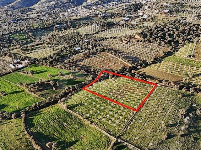 Ödemiş, İzmir içerisinde satılık Arsa
