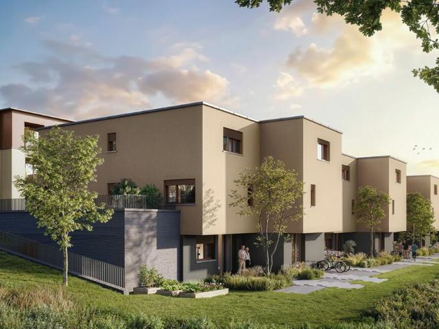 Haus kaufen in Reinach (AG), Aargau