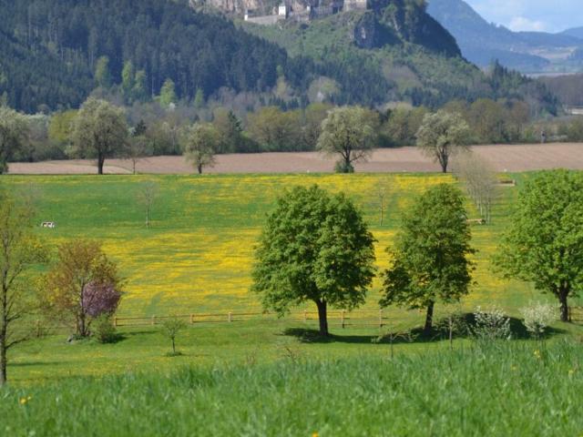 Gewerbe kaufen in St. Georgen am Längsee, Kärnten