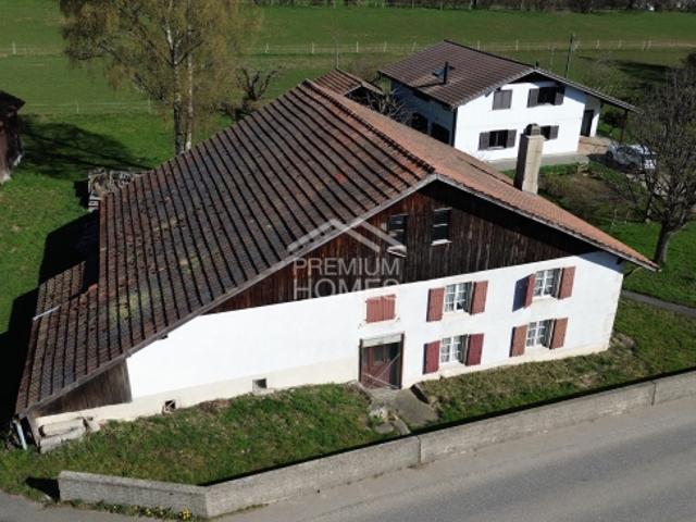 Einfamilienhaus kaufen in Tramelan, Bern