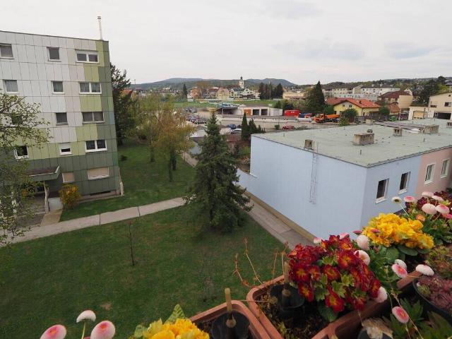 Apartment kaufen in Brunn am Gebirge, Niederösterreich