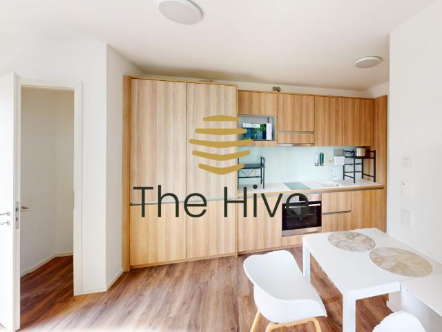 Apartment mieten in Stuttgart-Nord, Stuttgart