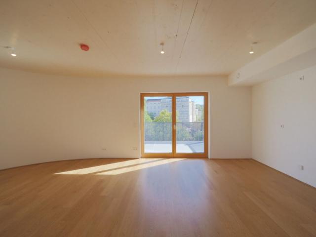 Wohnung kaufen in Mödling, Bezirk Mödling