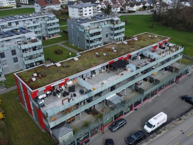 Wohnung kaufen in Trimbach, Solothurn