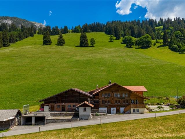 Einfamilienhaus kaufen in Horboden, Bern