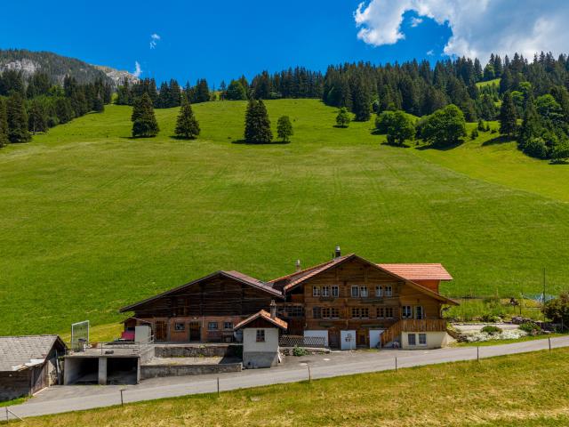 Mehrfamilienhaus kaufen in Horboden, Bern