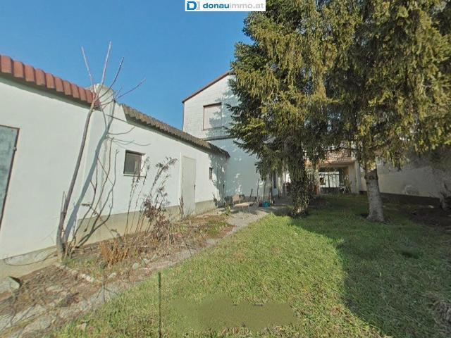 Haus kaufen in Tadten