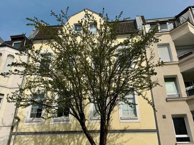 Haus kaufen in Altstadt Moers, Moers