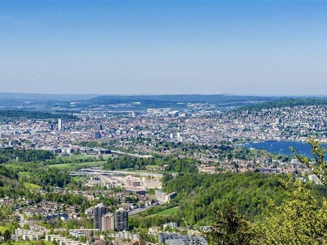 Einfamilienhaus kaufen in Einigen, Zürich